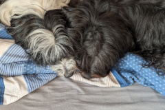 PXL_20250510_164155748