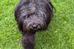 PXL_20250516_153542553